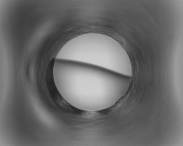 X0000114110429200910051242
