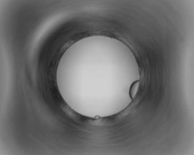 X0000114110430200910051242