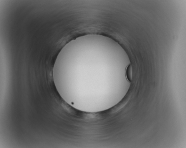 X0000114110432200910051242