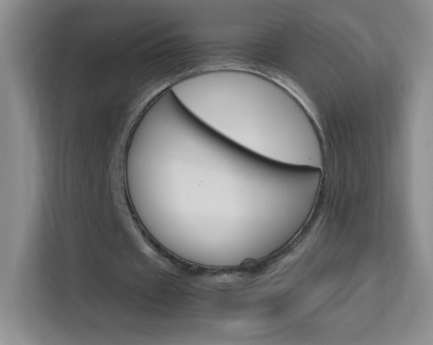 X0000114110433200910051242