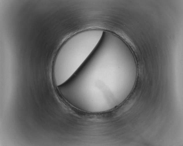 X0000114110434200910051242