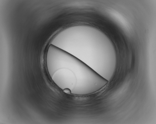 X0000114110435200910051242