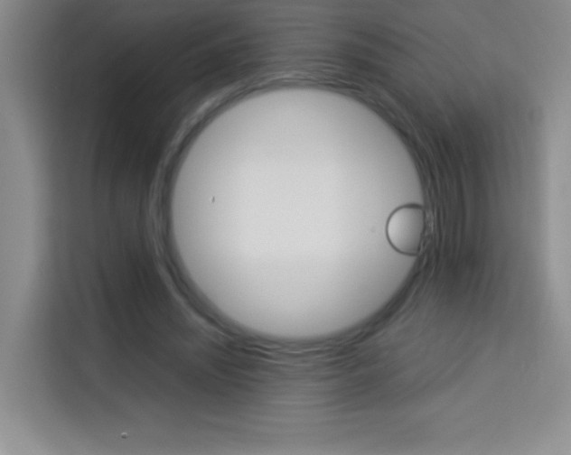 X0000114110444200910051242