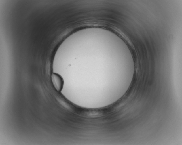X0000114110445200910051242