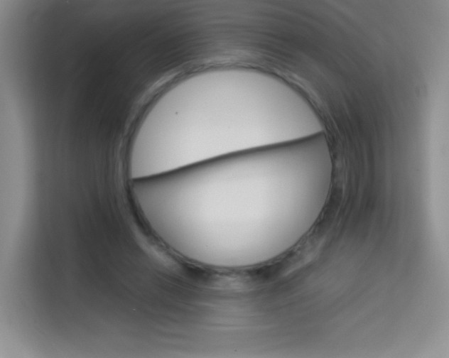 X0000114110446200910051242