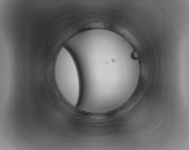 X0000114110449200910051242