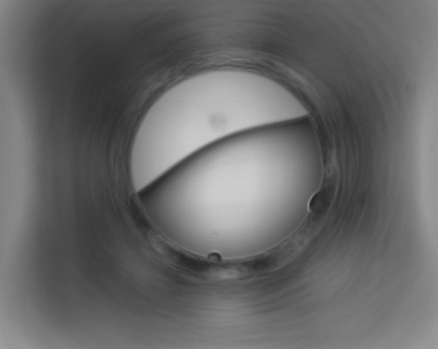 X0000114110452200910051242