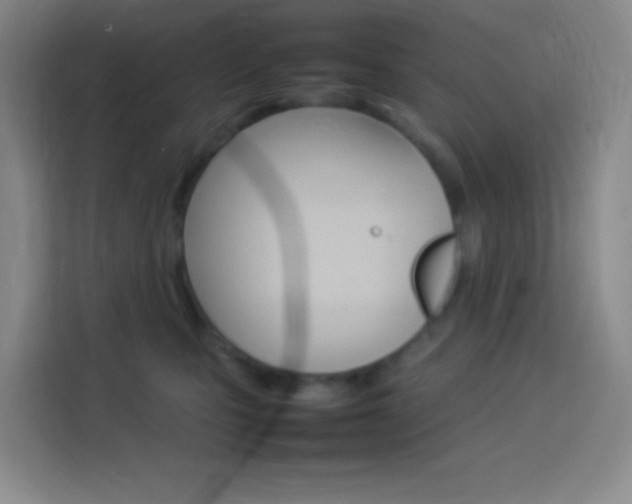 X0000114110471200910051242