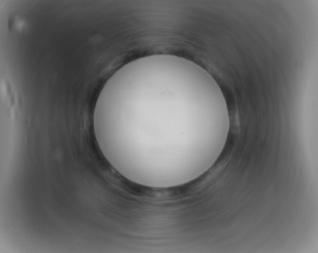X0000114110472200910051242