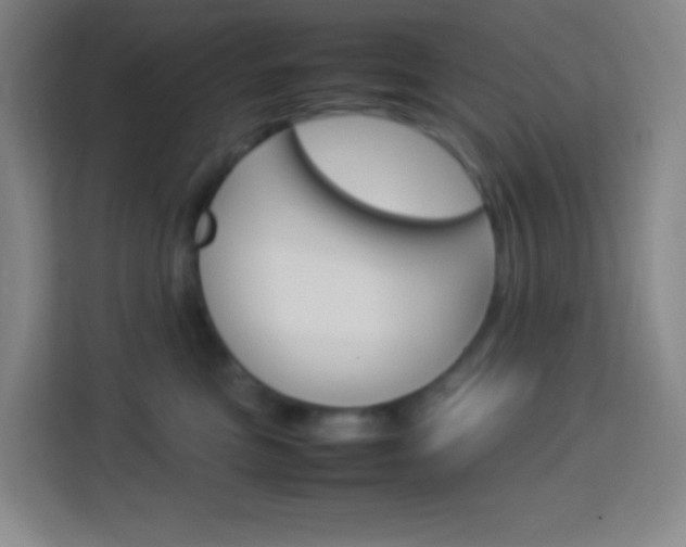 X0000114110473200910051242