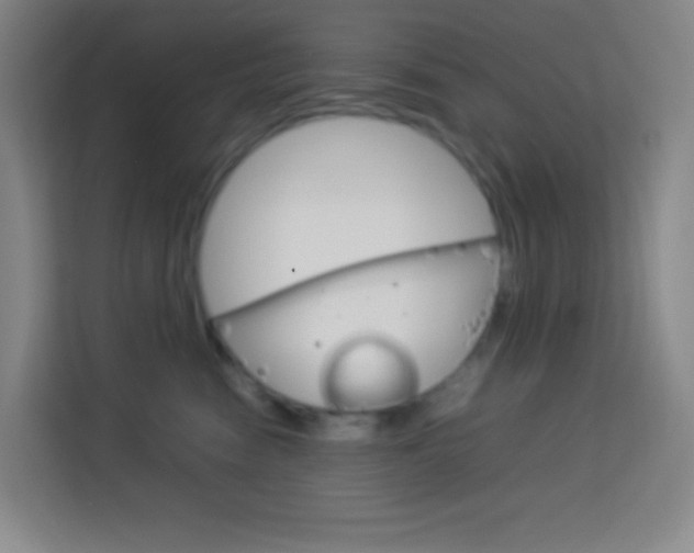 X0000114110474200910051242