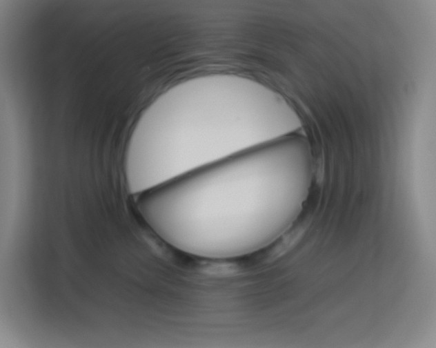 X0000114110476200910051242