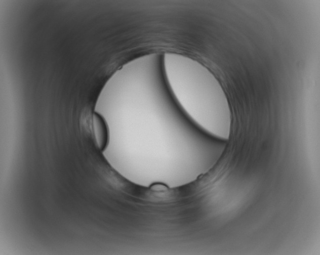 X0000114110479200910051242