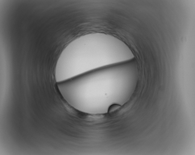 X0000114110480200910051242