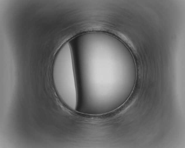 X0000114110481200910051242