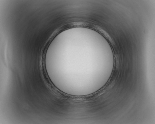 X0000114110482200910051242