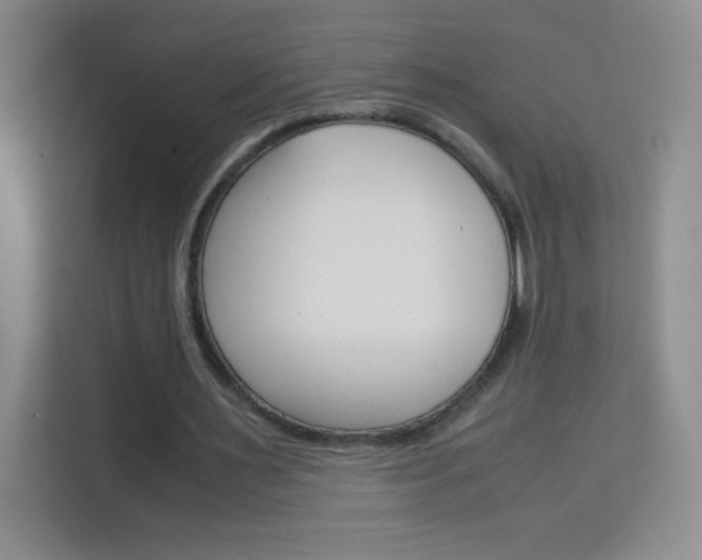 X0000114110483200910051242