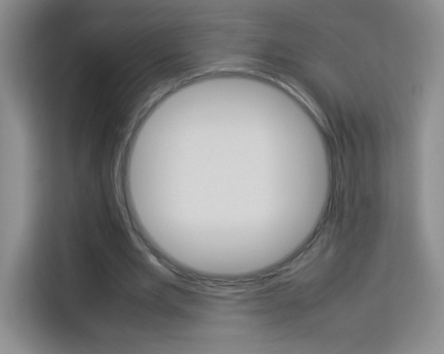 X0000114110485200910051242