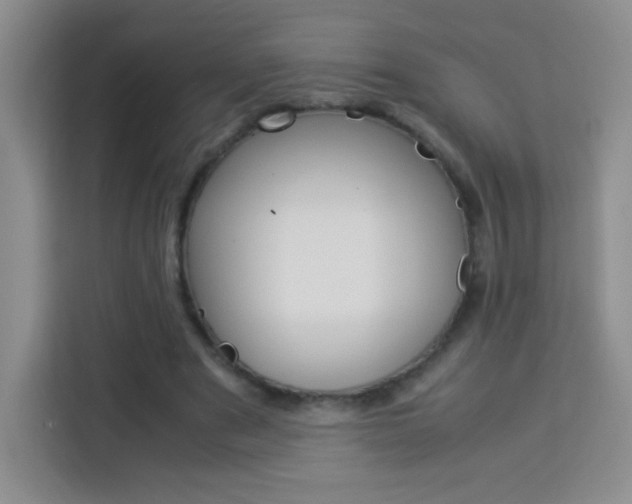 X0000114110489200910051242
