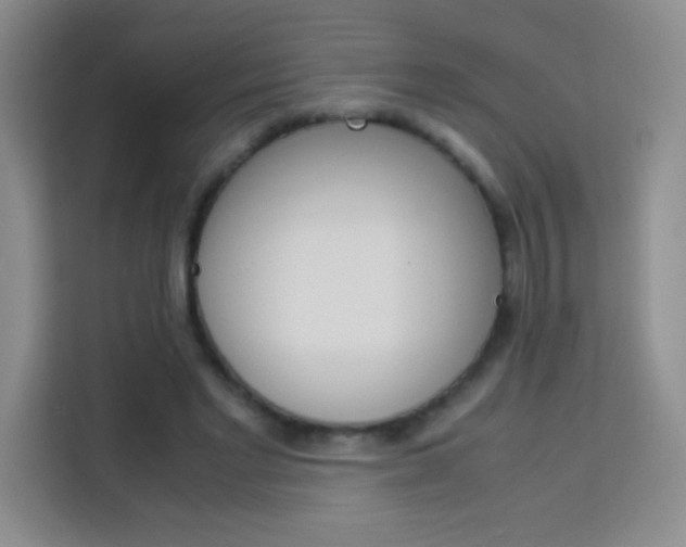 X0000114110493200910051242