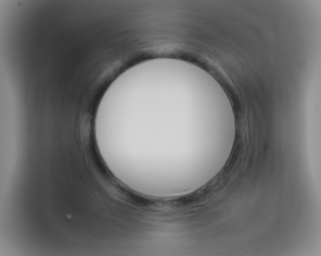 X0000114110495200910051242