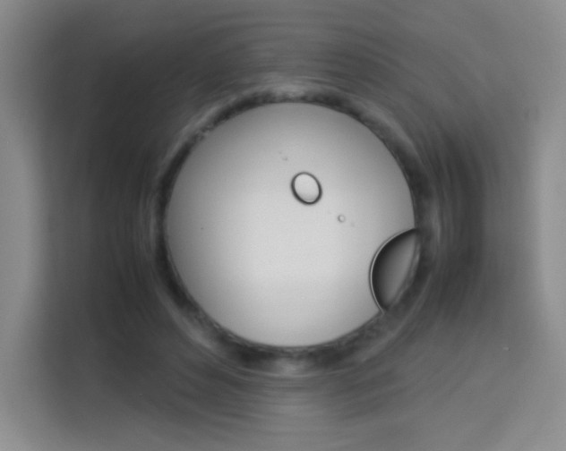 X0000114110496200910051241