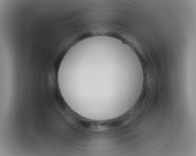 X0000114110498200910051241