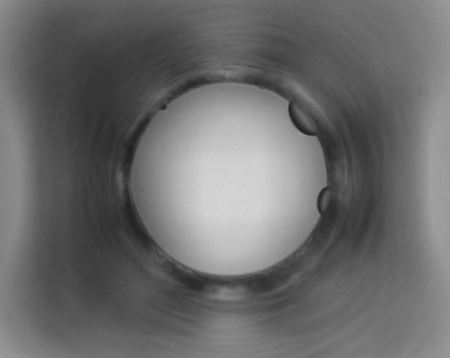 X0000114110500200910051241