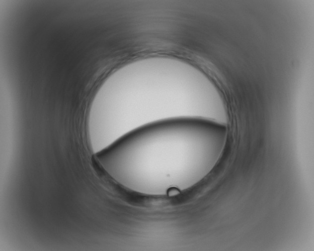 X0000114110501200910051241