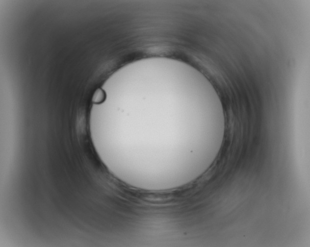 X0000114110502200910051241