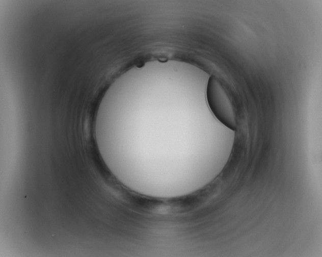 X0000114110504200910051241