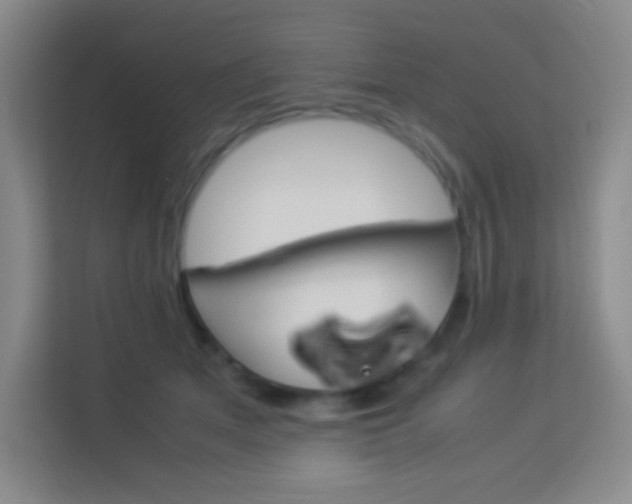 X0000114110513200910051241