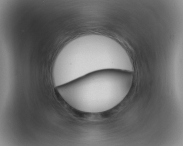X0000114110517200910051241