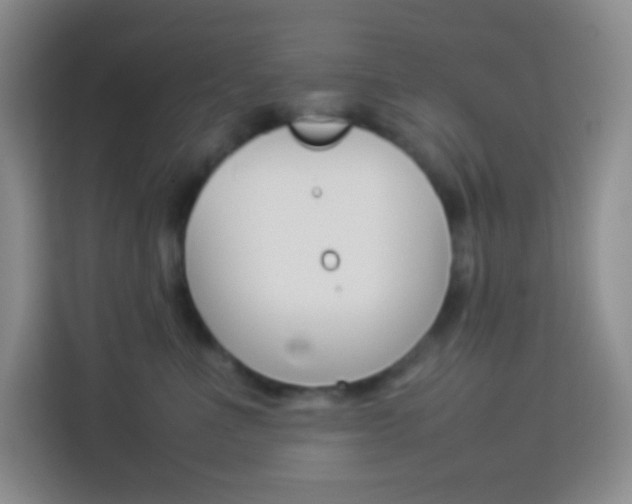 X0000114110523200910051241