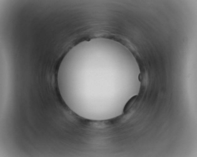 X0000114110524200910051241