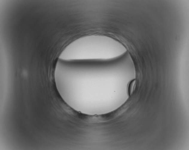 X0000114110525200910051241