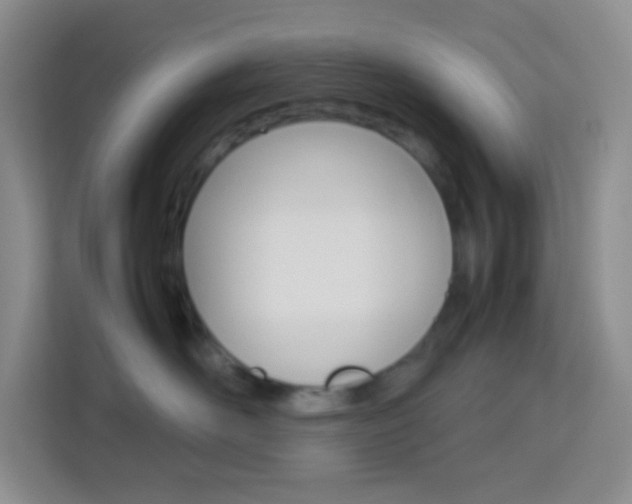 X0000114110526200910051241