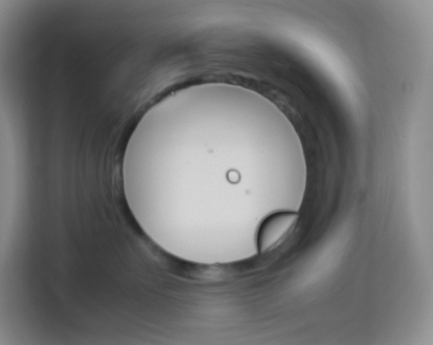X0000114110527200910051241