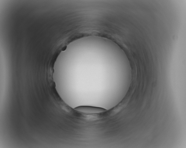 X0000114110528200910051241