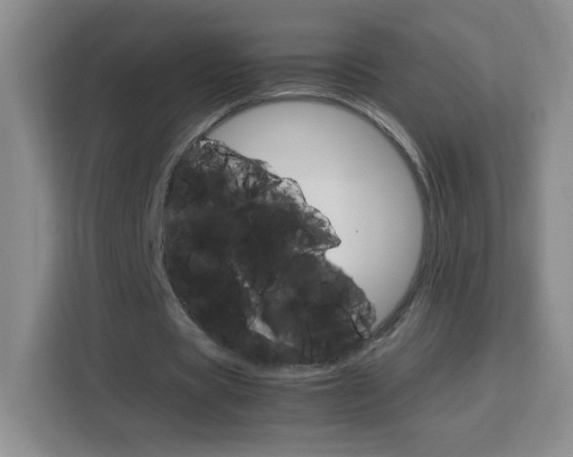 X0000114110529200910051240