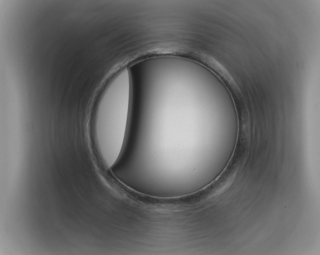 X0000114110530200910051240