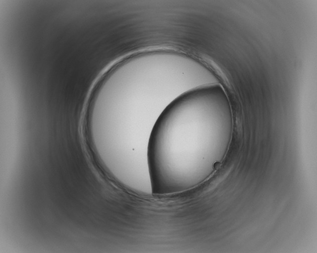 X0000114110532200910051240
