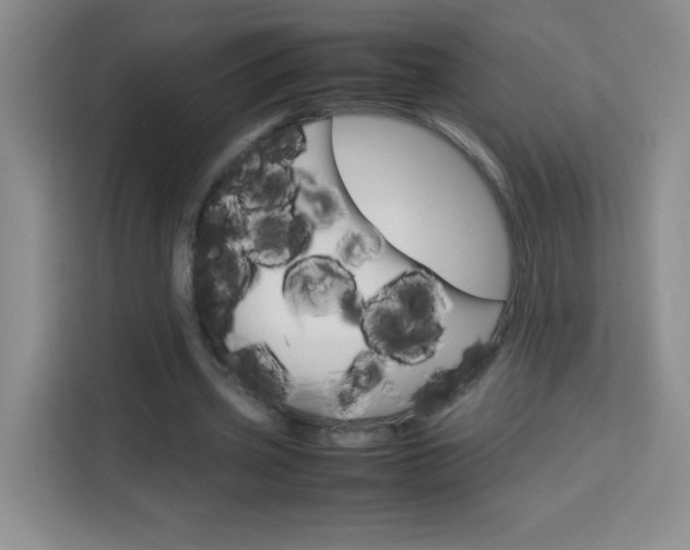X0000114110533200910051241
