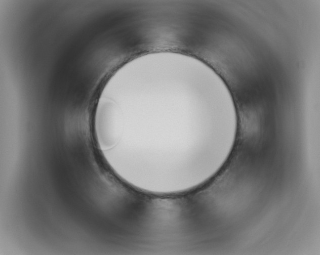 X0000114110534200910051241