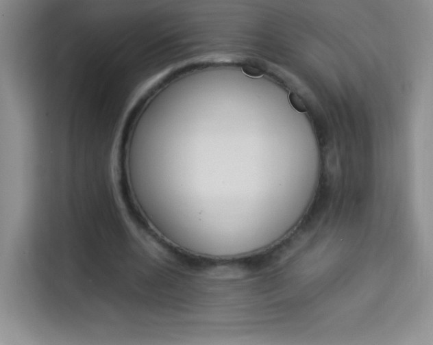 X0000114110536200910051241