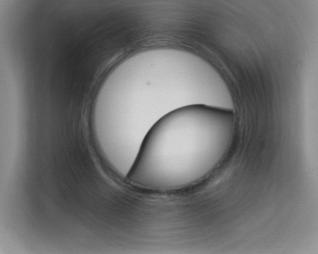X0000114110538200910051241