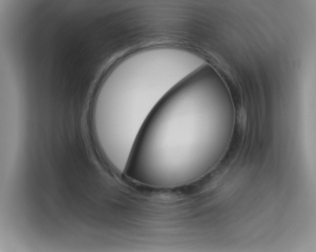 X0000114110540200910051241