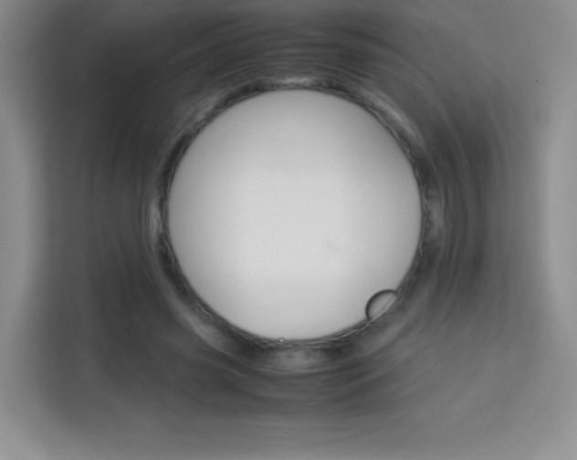 X0000114110541200910051241
