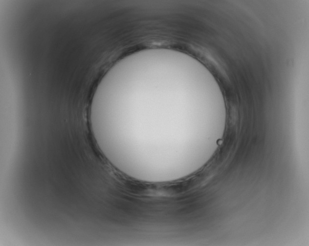 X0000114110545200910051241
