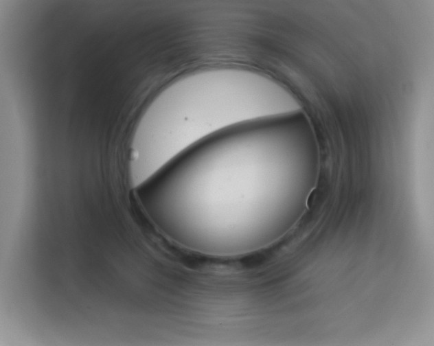X0000114110548200910051241